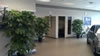 Schefflera Amate showroom in Tewksbury 