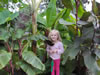 mixture of plants and a kid for scale